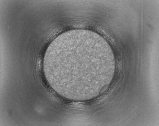 X0000115310117200912141145