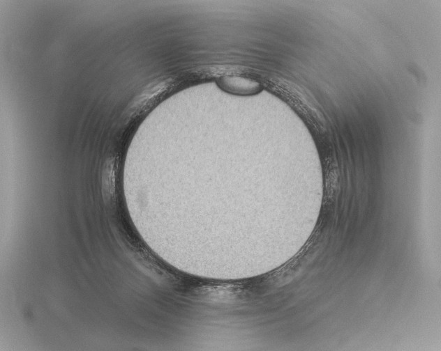 X0000115310120200912141145