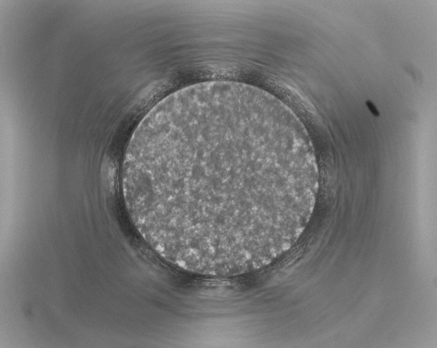 X0000115310123200912141145