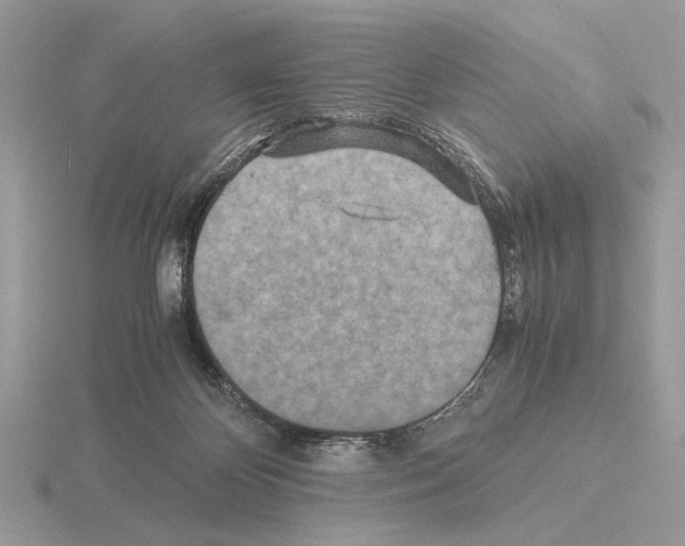 X0000115310124200912141145