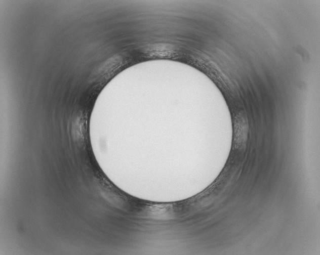 X0000115310126200912141145