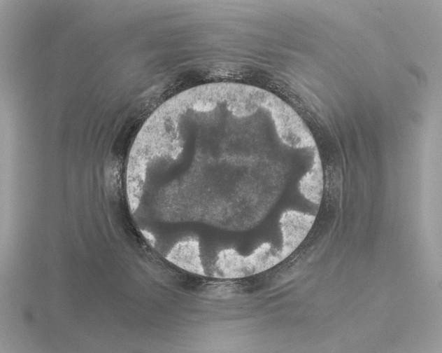 X0000115310127200912141145