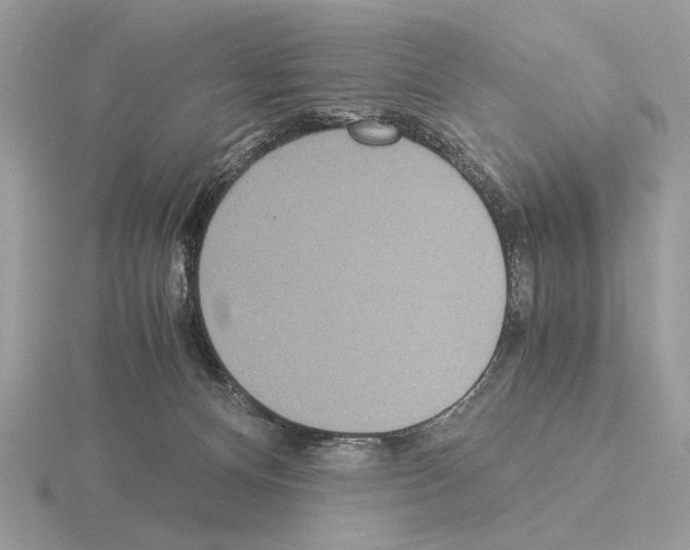 X0000115310128200912141145