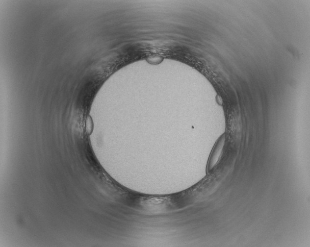 X0000115310129200912141145