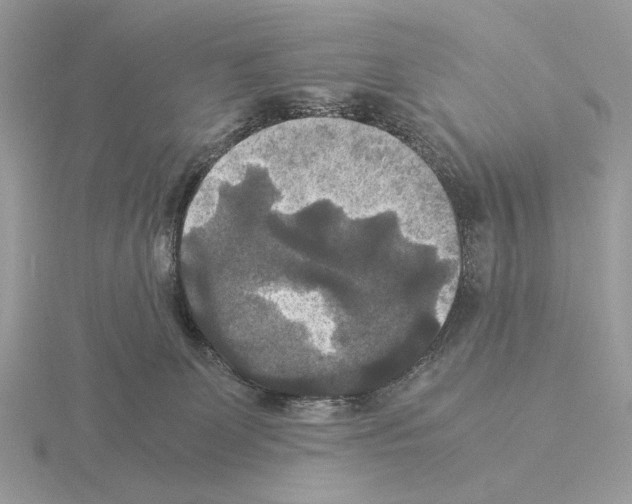 X0000115310131200912141145