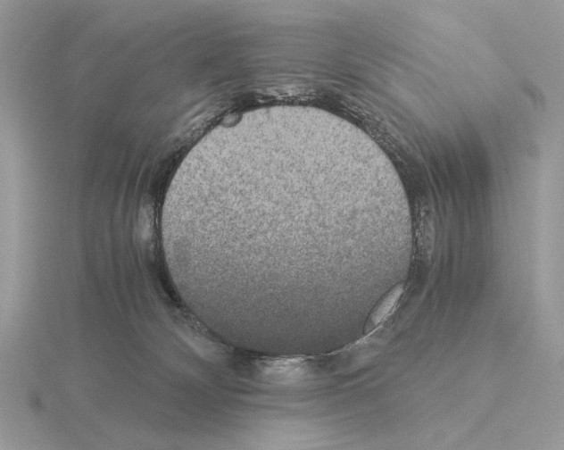 X0000115310132200912141145