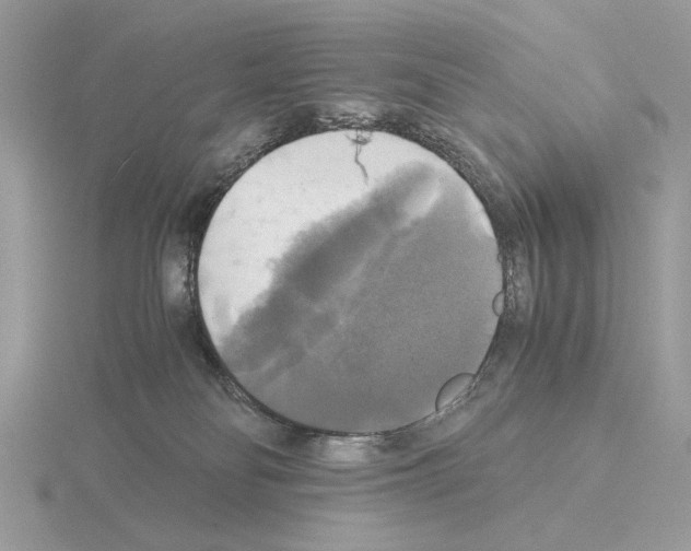 X0000115310134200912141145