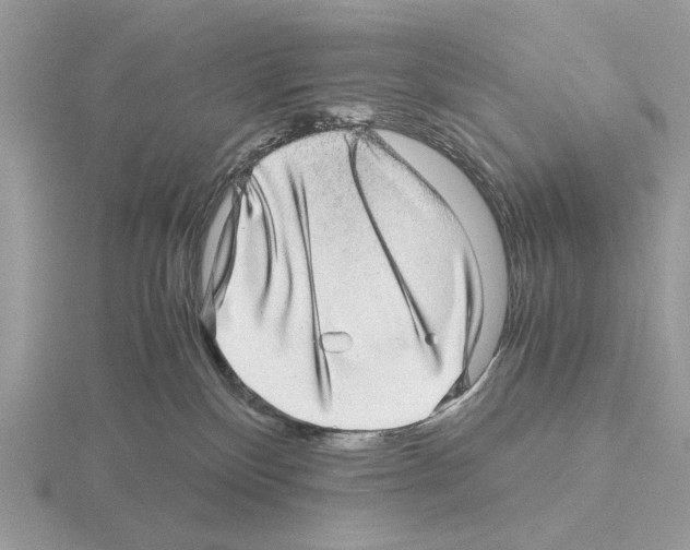 X0000115310136200912141145