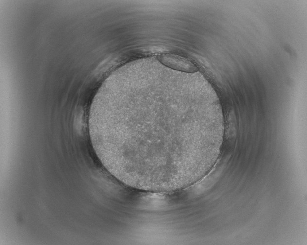 X0000115310140200912141145