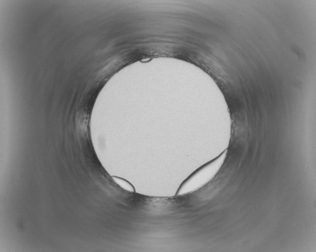 X0000115310141200912141145