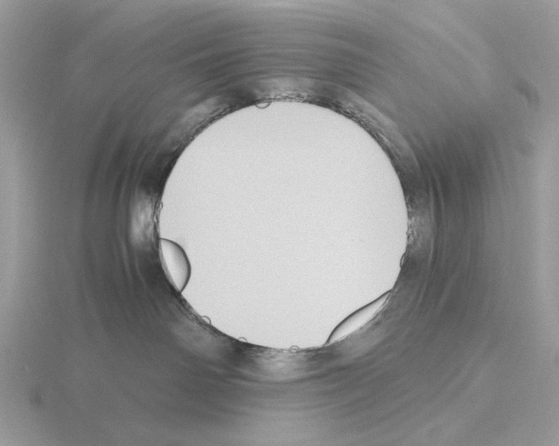 X0000115310142200912141145