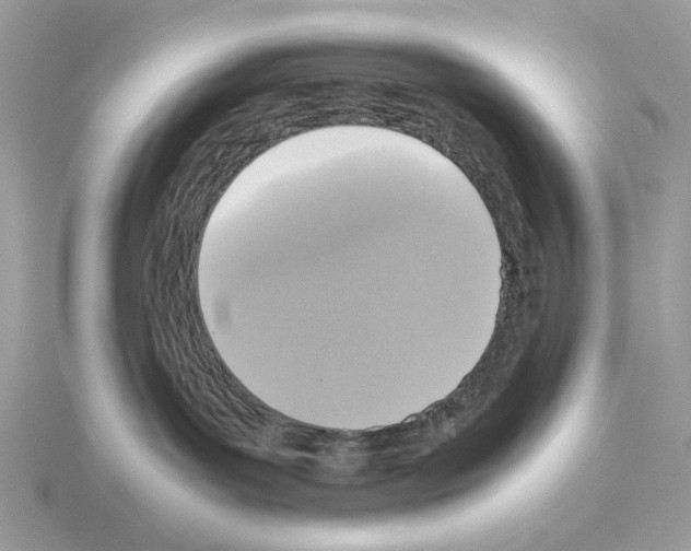 X0000115310143200912141145