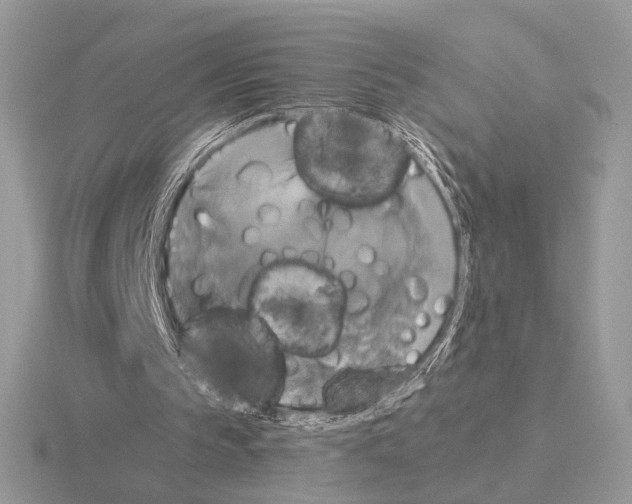 X0000115310145200912141144