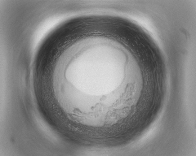 X0000115310146200912141144