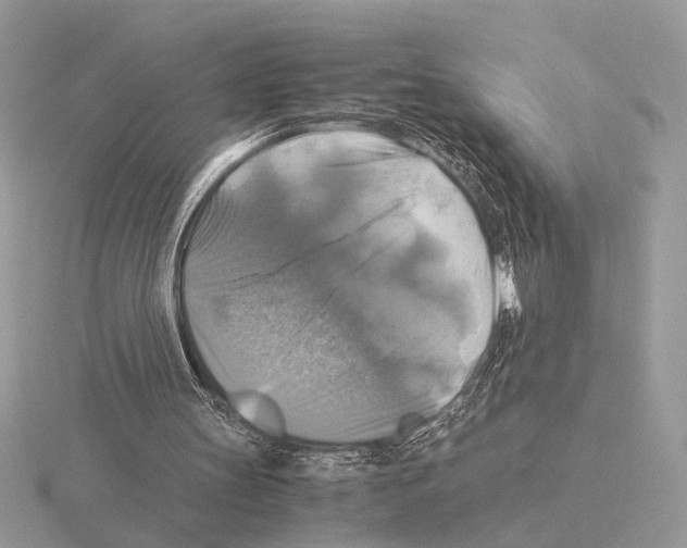 X0000115310147200912141144