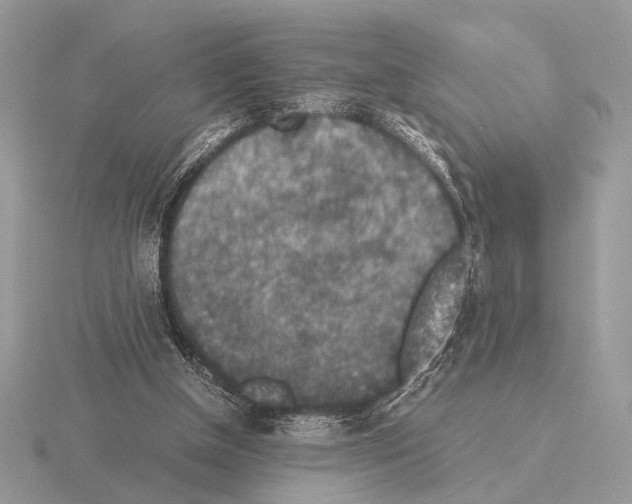 X0000115310154200912141144