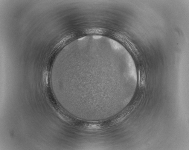 X0000115310157200912141144