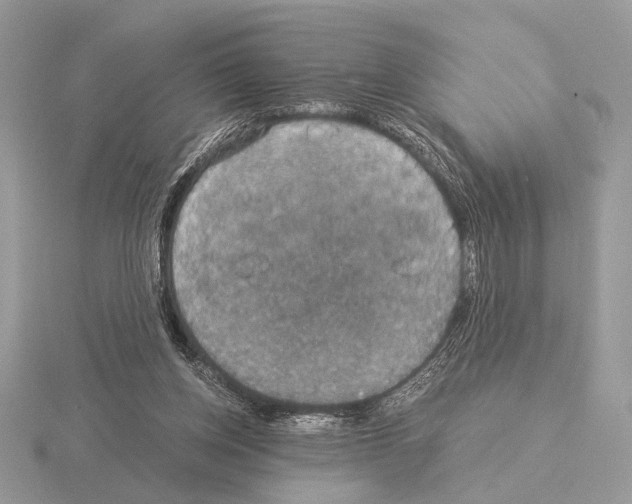 X0000115310158200912141144