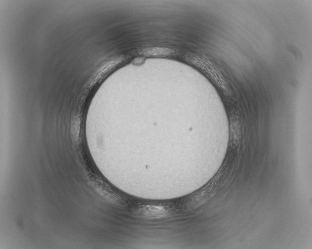 X0000115310159200912141144