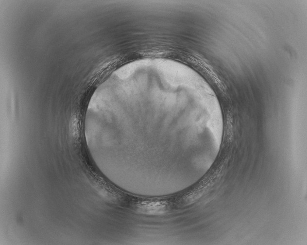 X0000115310161200912141144