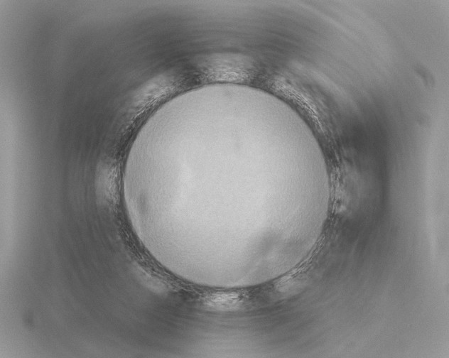 X0000115310162200912141144