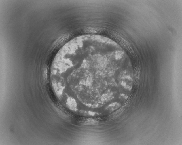 X0000115310166200912141144