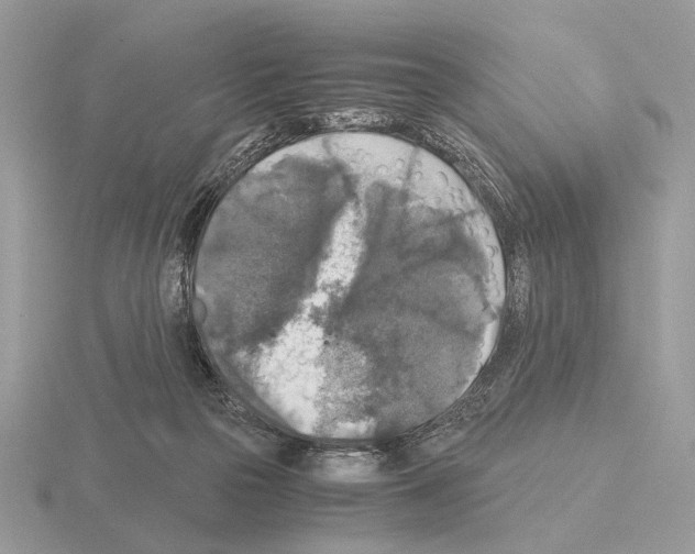 X0000115310169200912141144