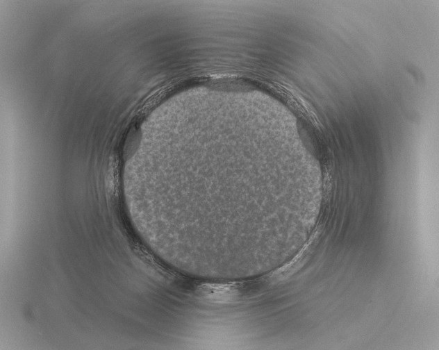 X0000115310170200912141144