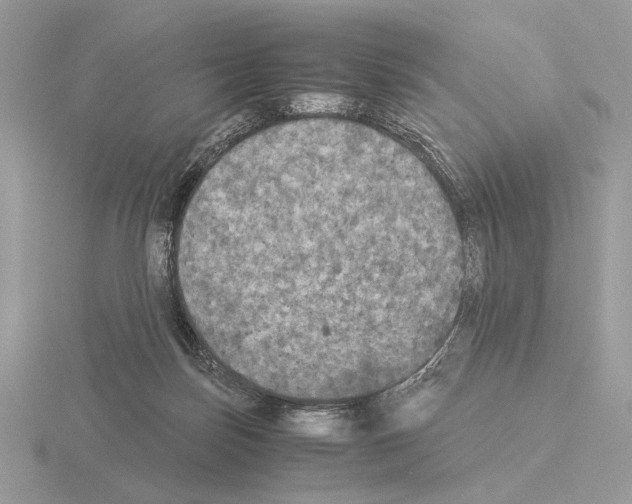 X0000115310171200912141144