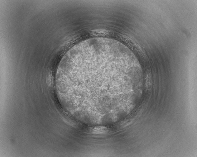 X0000115310173200912141145