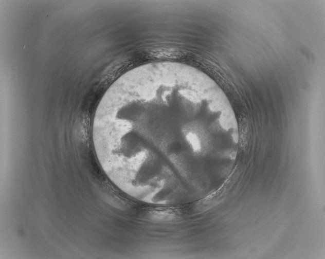 X0000115310175200912141145