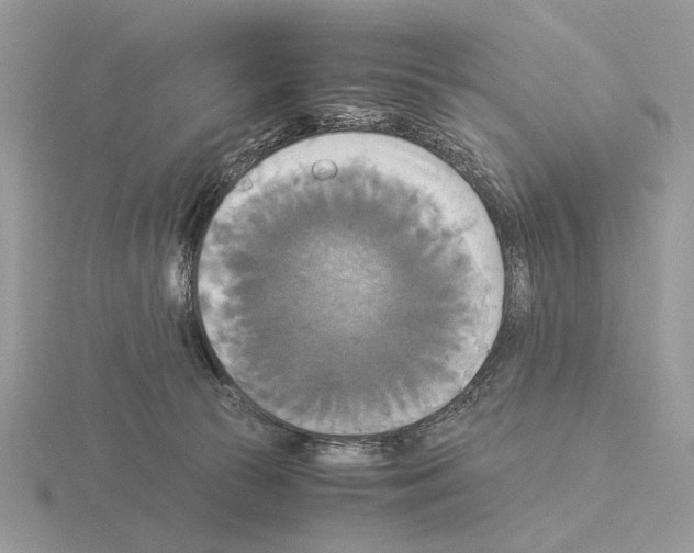 X0000115310177200912141145