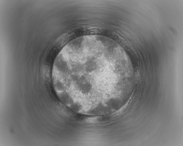 X0000115310178200912141145