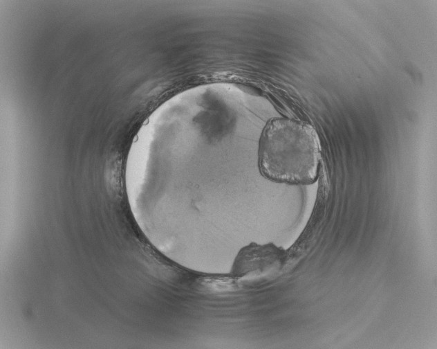 X0000115310181200912141145