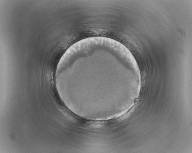 X0000115310182200912141145