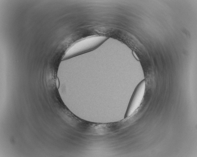 X0000115310186200912141145