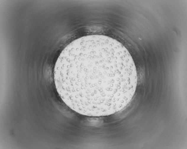 X0000115310187200912141145