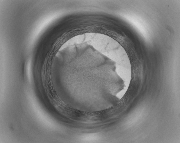 X0000115310189200912141145