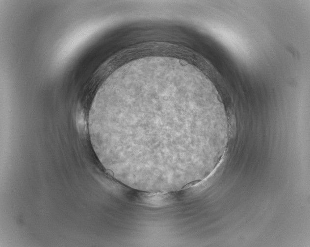 X0000115310191200912141145