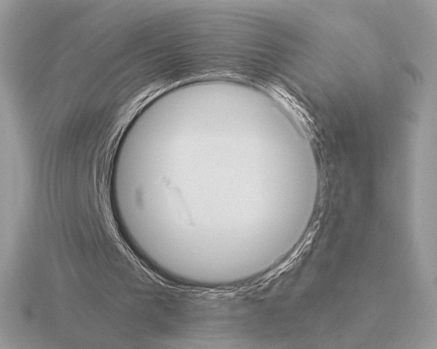 X0000115310193200912141144