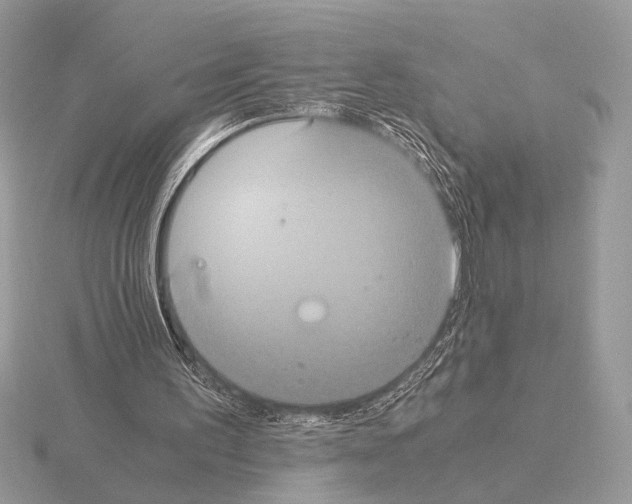 X0000115310195200912141144