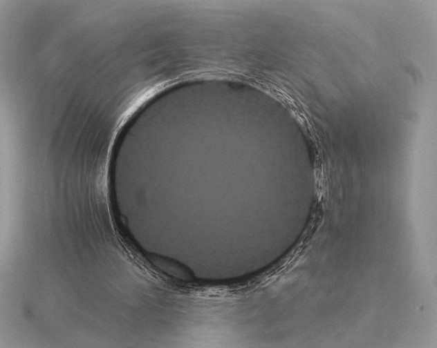 X0000115310196200912141144