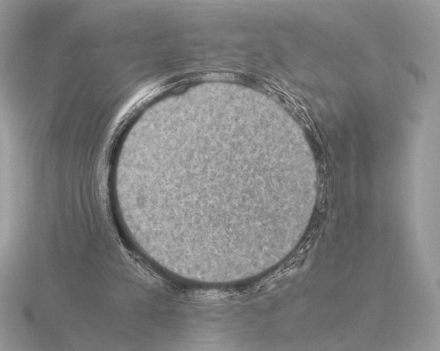 X0000115310197200912141144