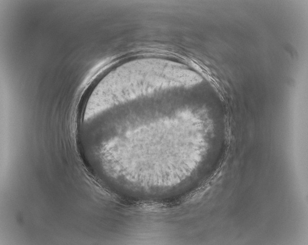 X0000115310199200912141144