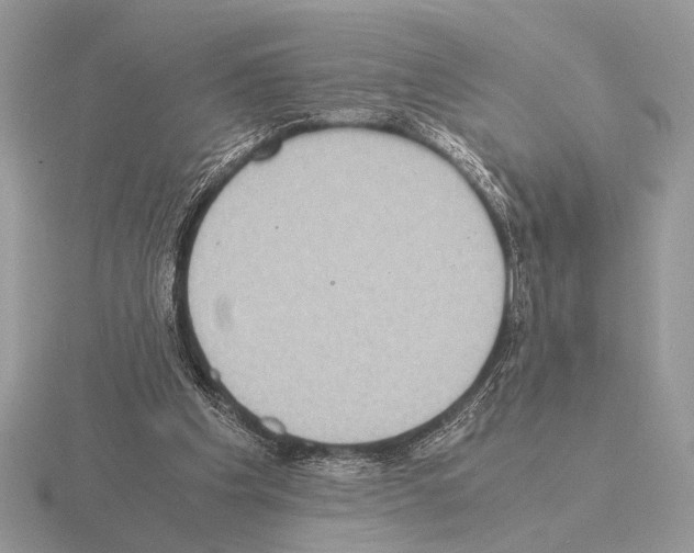 X0000115310201200912141144