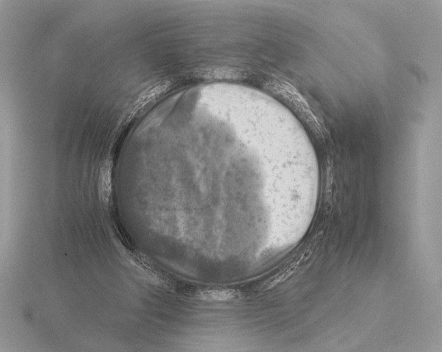 X0000115310202200912141144