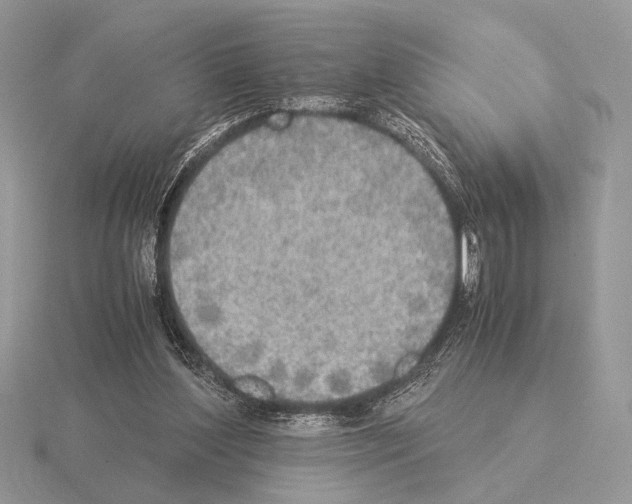 X0000115310204200912141144