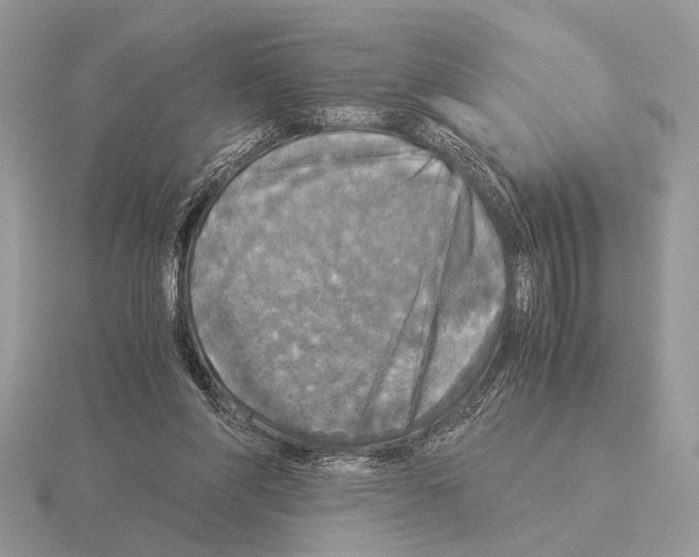 X0000115310206200912141144