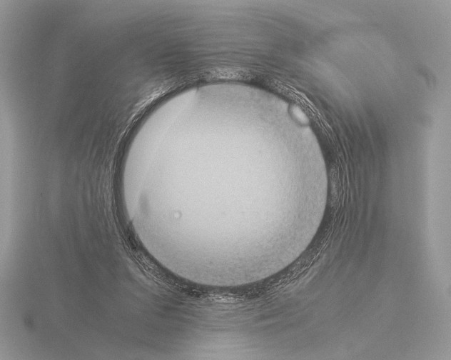 X0000115310207200912141144