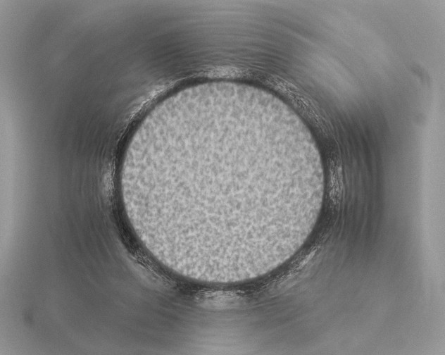 X0000115310208200912141144